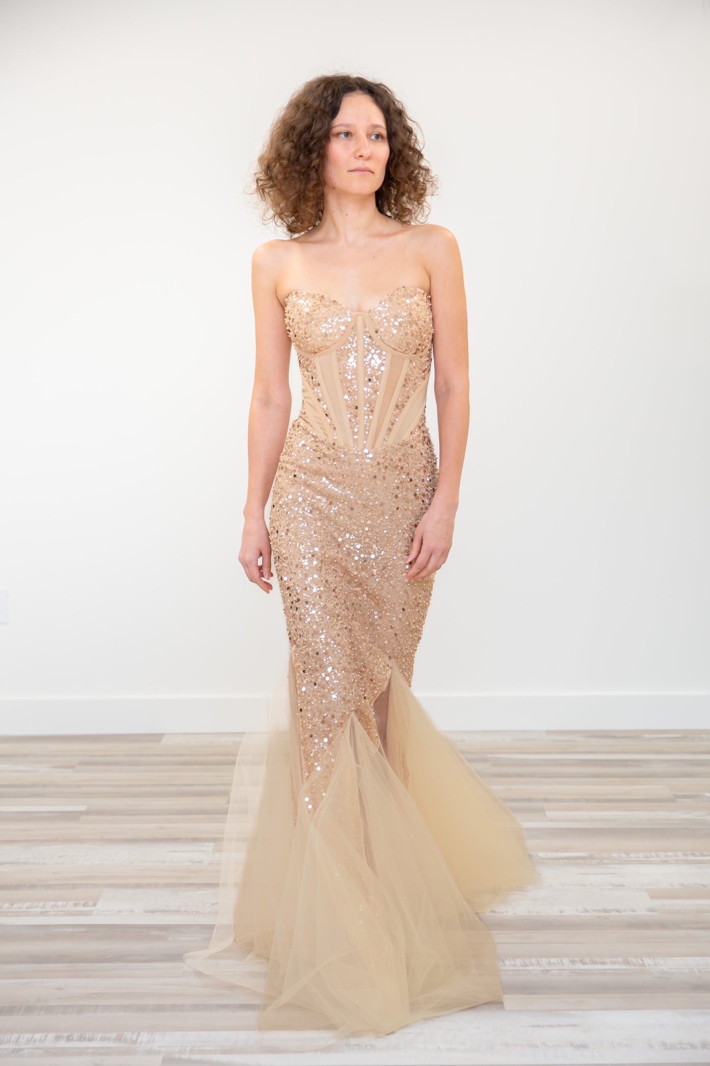 Sequins Mesh Corset Dress