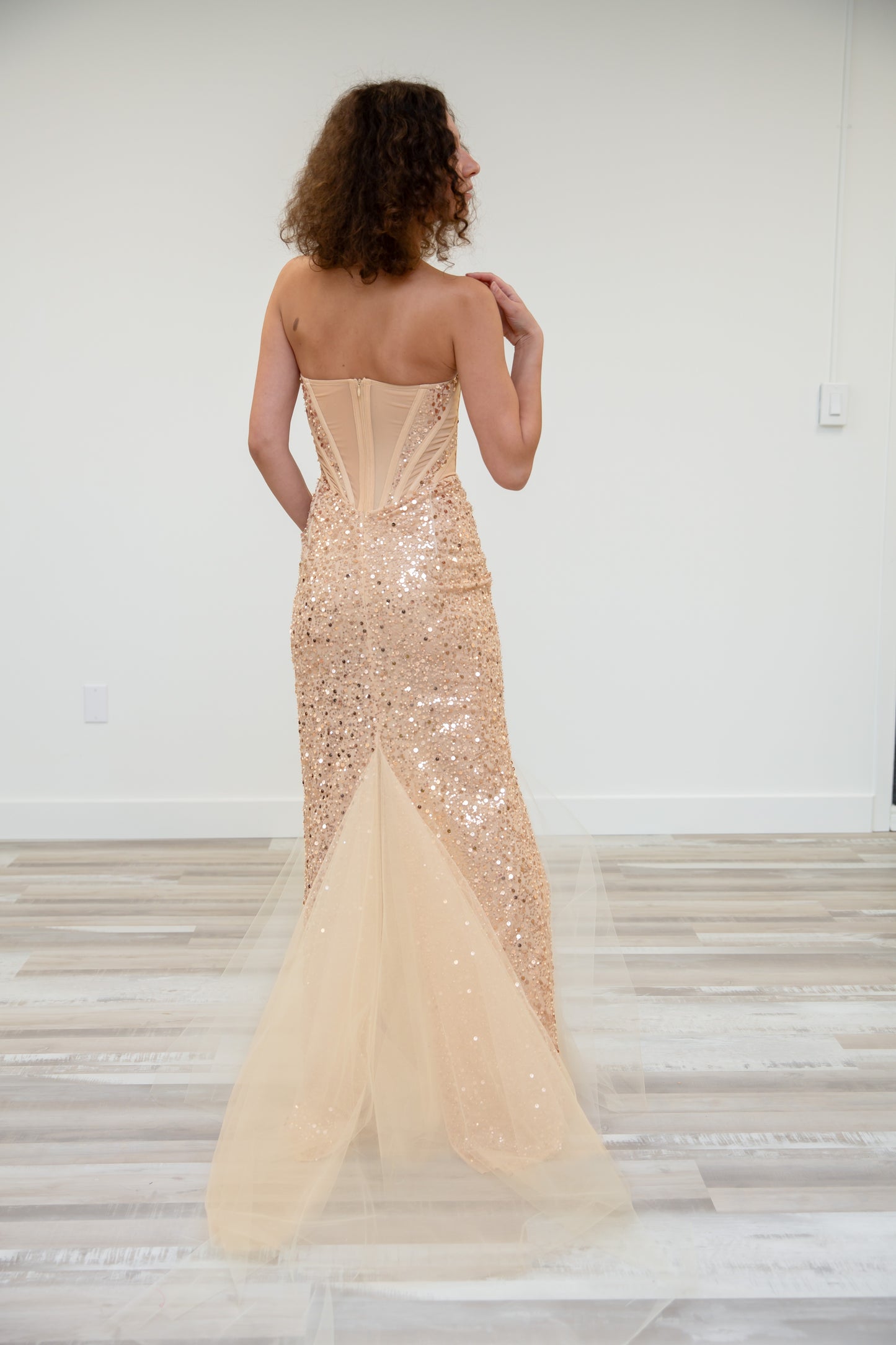 Sequins Mesh Corset Dress
